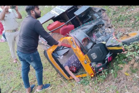 Ranpur:The auto lost control and overturned, the auto driver died on the spot