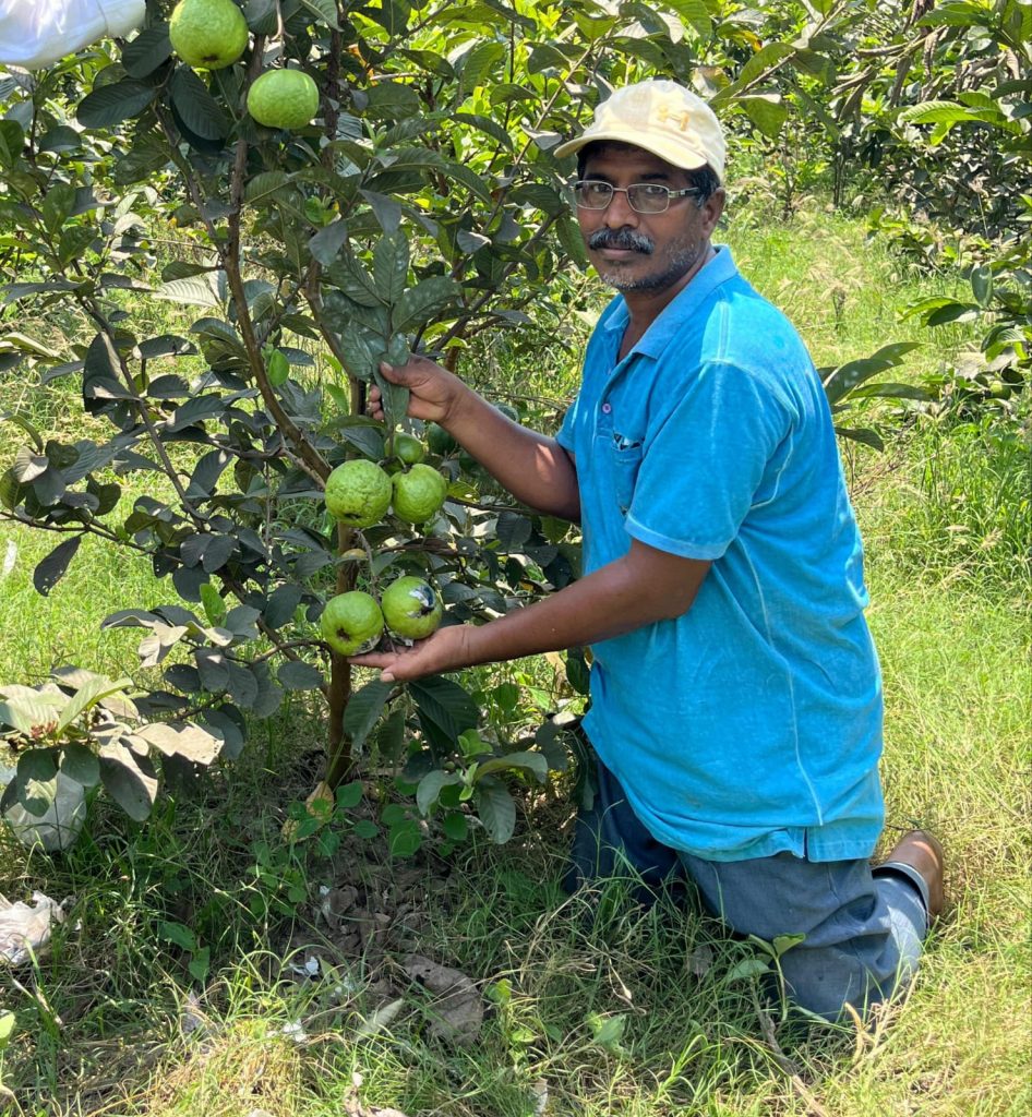 From Barren to Bountiful: Farmer Bharat Reddy’s Journey to Success with ...