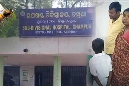 Swarm of bees attack students in Keonjhar, 8 injured