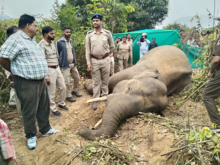 Bnj19a056-1-1024x768