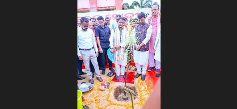 ek ped maa ki naam